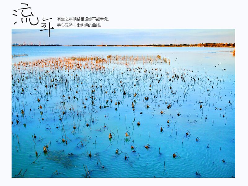 阳澄湖半岛旅游度假区旅游攻略图片11