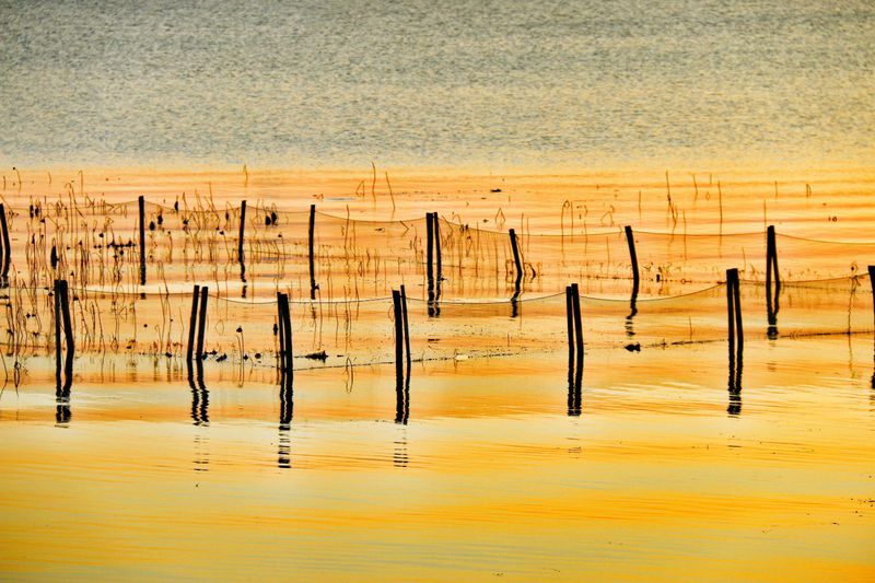 阳澄湖半岛旅游度假区旅游攻略图片43