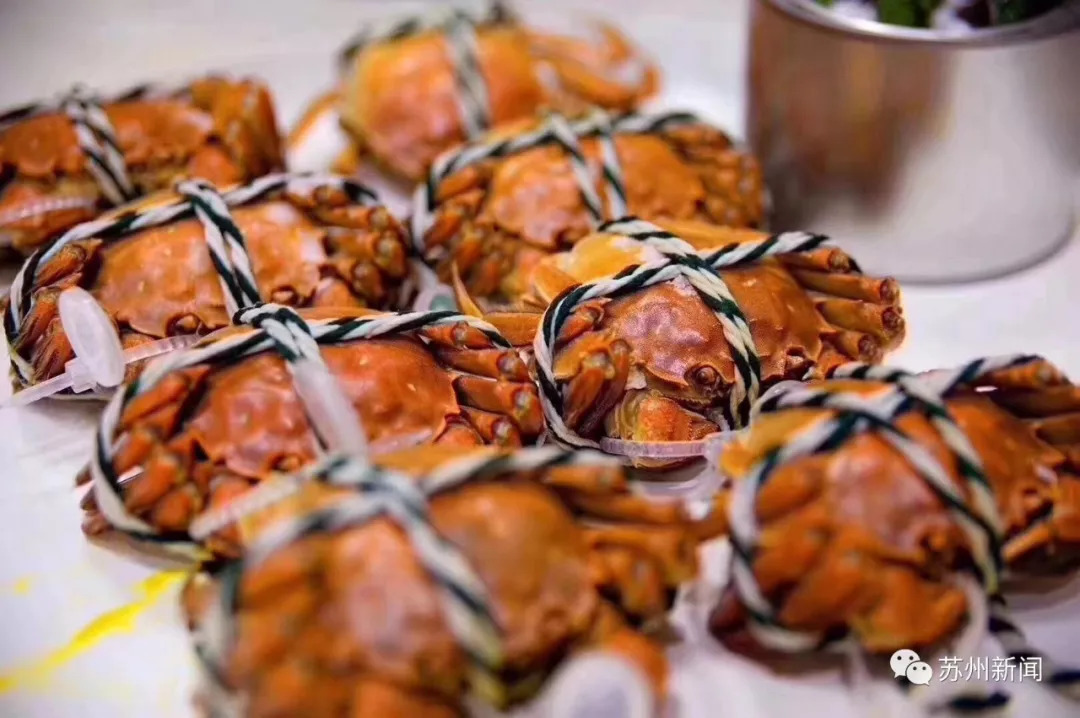 你想好了今年去哪里、和谁吃大闸蟹吗？